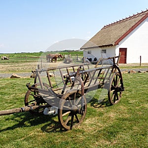 Rustic Old Horse Drawn Wagon with young goat resting in his shadow