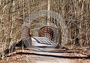 Rustic old metal and wooden bridge over a creek in a forest.