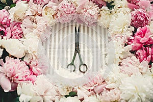 Rustic old scissors in pink and white peonies frame on table, flat lay. Florist and floral shop concept. Wedding arrangement