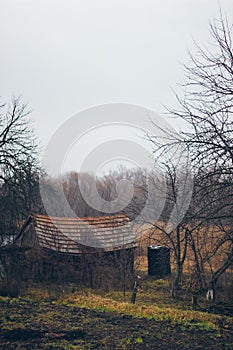 A rustic old house in the Ukrainian village, abandoned