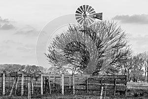 Rustic old wood windmill by old animal coral black and white