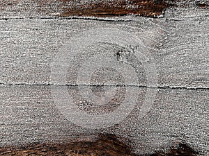 Rustic old wooden board surface under snow frost hoar with a blank space for text, background for winter design