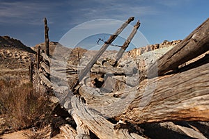 Rustic old wooden fence posts