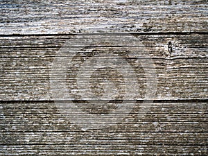 Rustic old worn wood background, planks.