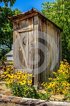 Rustic Outhouse with Flowers