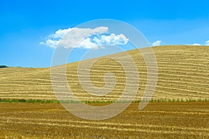 A rustic panorama: rolling hills and golden harvested fields