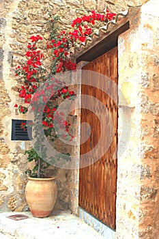 Rustic patio with Bougainvillea, Majorca, Spain