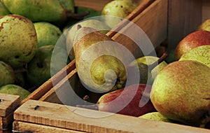 Rustic pears in a wooden box in the market