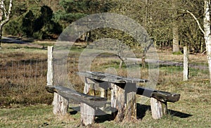 A rustic picnic table and benches made from old logs at a countryside park