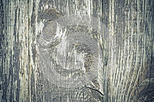 Rustic plank fence brown old bark wood textured photo. Abstract background Image. Tonid. Copy space