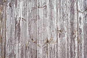 Rustic plank fence brown old bark wood textured photo. Abstract background Image. Tonid. Copy space