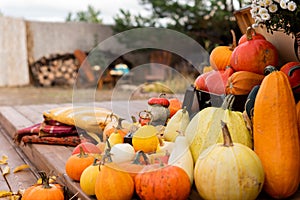 Rustic pumpkin decor on the terrace