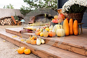 Rustic pumpkin decor on the terrace