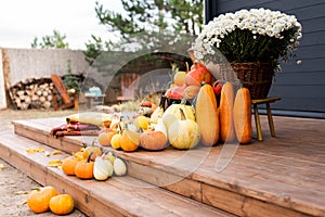 Rustic pumpkin decor on the terrace