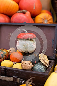 Rustic pumpkin decor in the wooden box