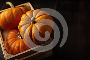 Rustic  Pumpkins Background