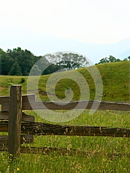 Rustic rail fence