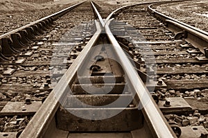 Rustic Railroad Track splitting lanes photo