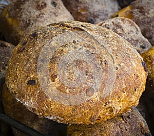 Rustic Raisin Bread