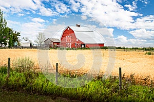 Rustic red barn on farmyard overlooking crop land on the Canadian prairies in Rocky View County Alberta Canad photo