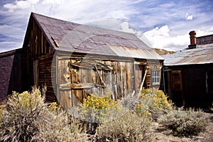 Rustic Remains in a Ghost Town