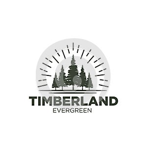 Rustic Retro Vintage pine, evergreen, fir, hemlock, spruce, conifer, cedar, coniferous, cypress, larch, pinus trees logo design