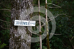 A rustic River Sign on a Tree