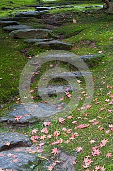 Rustic rock steps