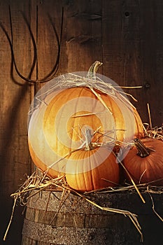 Rustic scene with pumpkins and pitch fork