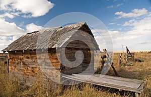 Rustic shed 2