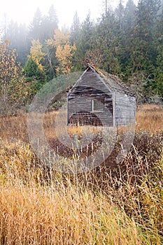 Rustic shed.