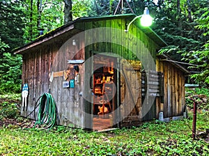 Rustic shed in woods