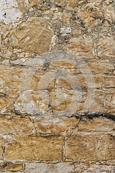 Rustic shell rock Stone wall texture or background