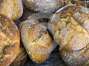 Rustic Sourdough Bread