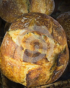 Rustic Sourdough Bread