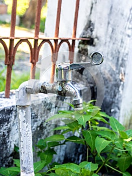 Rustic Spigot / Faucet on Garden