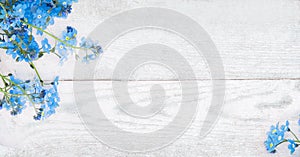 Rustic Spring wooden background with forget-me-nots flowers