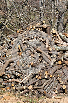 rustic stack of cut logs for house heating in countryside