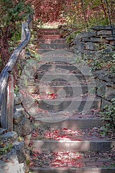 Rustic Stairway in Fall with Leaves on Steps