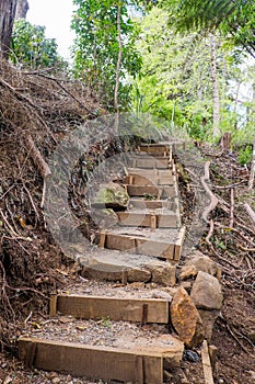 Rustic stairs with steep steps on walking trail to Wairoa Stream