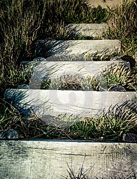 Rustic steps