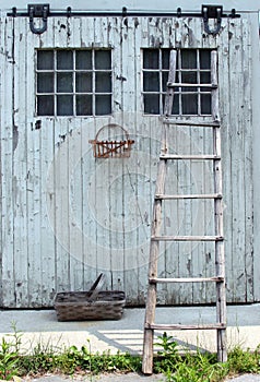 Rustic Still Life