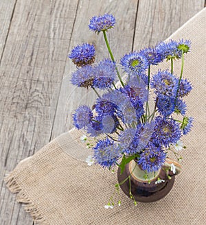 Rustic still life with a bouquet of blue flowers on a wooden background photo