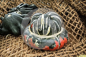 Rustic Still Life of Ornamental Pumpkins