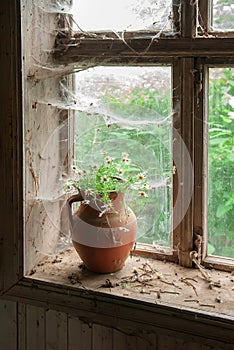 Rustic still life with wild flowers in brown clay jug