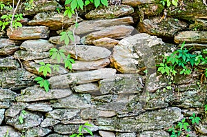 Rustic stone rock wall with natural foliage