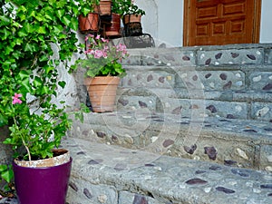 Rustic stone stairs decorated with bright green home plants in Bielsa, Huesca, Spain