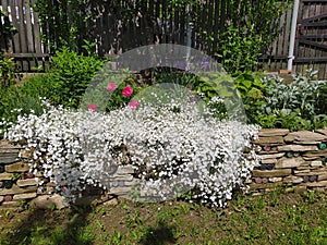 Rustic stone wall covered with flowers.Rustikale Steinmauer und Buntglas, bedeckt mit Blumen. Mur de pierre rustique et vitrail, photo