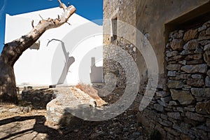Rustic stone wall and tree shadow on white facade