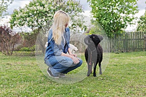 Rustic style, small animal farm, young woman teenager play touching black ram